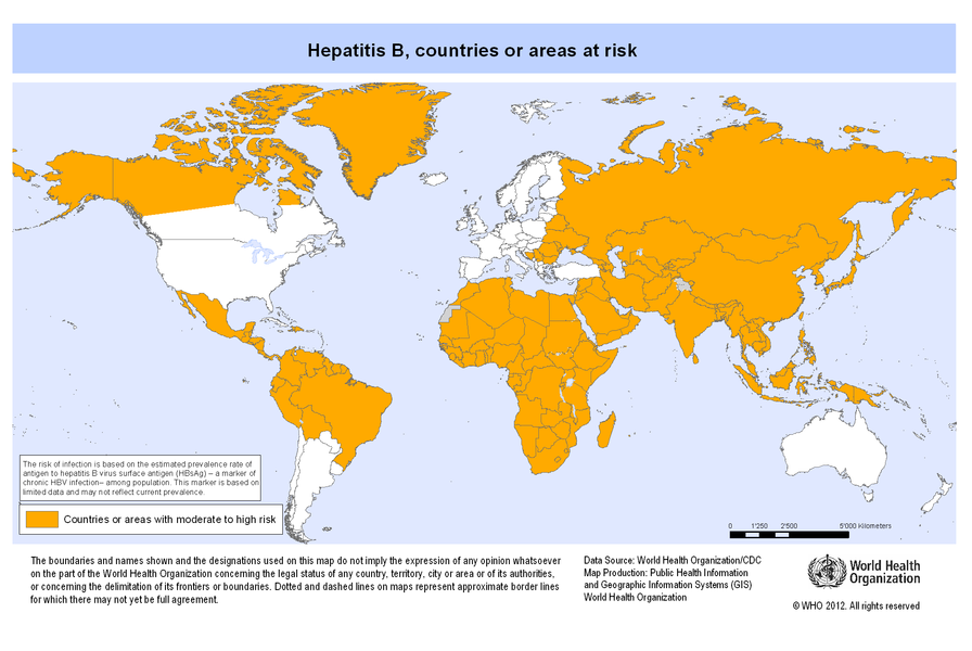 Hepatitis B Die Reisemedizin